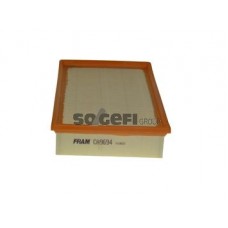 CA9694 FRAM Повітряний фільтр