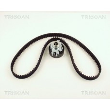 8647 29019 TRISCAN Комплект ременя ГРМ