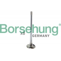 впускний клапан Borsehung B10322