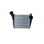 WG1723847 WILMINK GROUP Интеркулер
