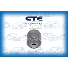 CBH01037 CTE Підвіска важіль незалежної підвіски колеса