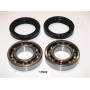 KK-17002 JAPANPARTS Комплект підшипника ступиці колеса