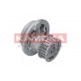 T0229 KAMOKA Водяний насос охолодження двигуна