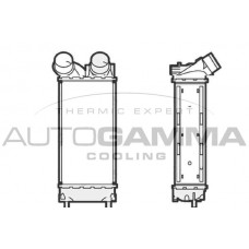 104470 AUTOGAMMA Интеркулер