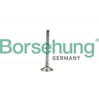 випускний клапан Borsehung B19005