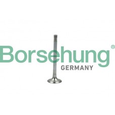 випускний клапан Borsehung B19005
