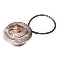 220043 WXQP Термостат охолоджувальна рідина