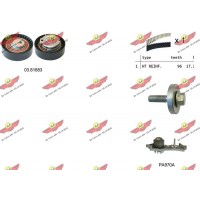 04.5319PA AUTOKIT Водяний насос комплект зубчастого ременя