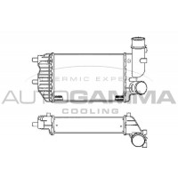 101888 AUTOGAMMA Интеркулер