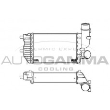 101888 AUTOGAMMA Интеркулер
