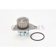 WP6079 CONTINENTAL CTAM Водяний насос охолодження двигуна