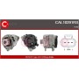 CAL10291RS CASCO Генератор