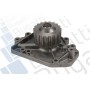 PA10128 BUGATTI Помпа