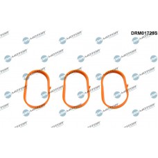 DRM01729S Dr.Motor Automotive Комплект прокладок впускний колектор