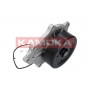 T0176 KAMOKA Водяний насос охолодження двигуна