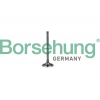впускний клапан Borsehung B19023