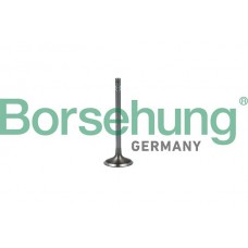 впускний клапан Borsehung B19023