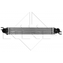 WG1723859 WILMINK GROUP Интеркулер