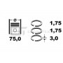R4001600 ET ENGINETEAM Комплект поршневих кілець