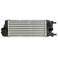 DAF016TT THERMOTEC Интеркулер