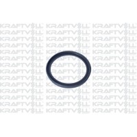 Ущільнювальне кільце, Трубка нагнітається повітря KRAFTVOLL-GERMANY 10032718