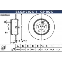 B1.G210-0217.1 GALFER Гальмівний диск