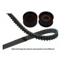 DKT-5534 KAVO PARTS Комплект ременя ГРМ