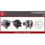 CAL40264GS CASCO Генератор