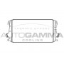 Интеркулер AUTOGAMMA 105664