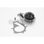 WPS3078 CONTINENTAL CTAM Водяний насос охолодження двигуна