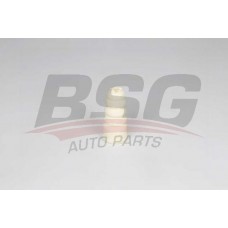 BSG90700187 BSG Буфер амортизація