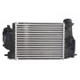 DA1009TT THERMOTEC Интеркулер