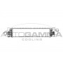 Интеркулер AUTOGAMMA 103425