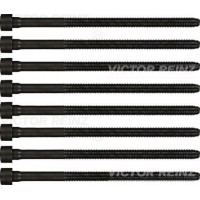 Комплект болтів головки циліндра VICTOR-REINZ 14-32198-01
