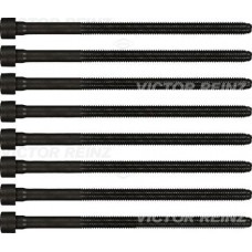 Комплект болтів головки циліндра VICTOR-REINZ 14-32198-01