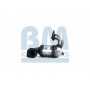 BM80309H BM CATALYSTS Катализатор