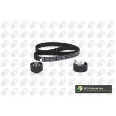 WG1487950 WILMINK GROUP Комплект ременя ГРМ