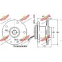 01.97758 AUTOKIT Комплект підшипника ступиці колеса