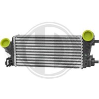 DCA1160 DIEDERICHS Интеркулер