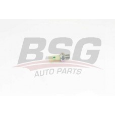 BSG 75-840-001 BSG Датчик тиску масла