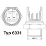 6031.100D BorgWarner (Wahler) Термовимикач вентилятор радіатора