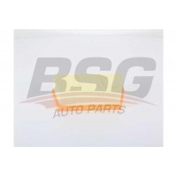 BSG 15-135-024 BSG Повітряний фільтр