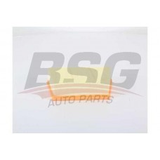 BSG 15-135-024 BSG Повітряний фільтр