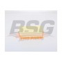 BSG 15-135-024 BSG Повітряний фільтр