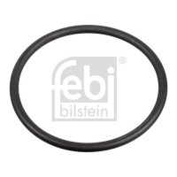 172666 FEBI BILSTEIN Прокладка, Паливний насос