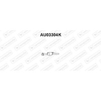 AU03304K VENEPORTE Катализатор