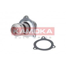 T0135 KAMOKA Водяний насос охолодження двигуна