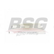 BSG 30-145-019 BSG Фільтр повітря у внутрішньому просторі