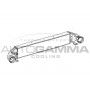 Интеркулер AUTOGAMMA 105558
