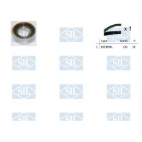TK1048 Saleri SIL Комплект ременя ГРМ